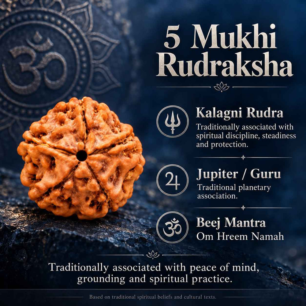 5 Mukhi Rudraksha Pendant
