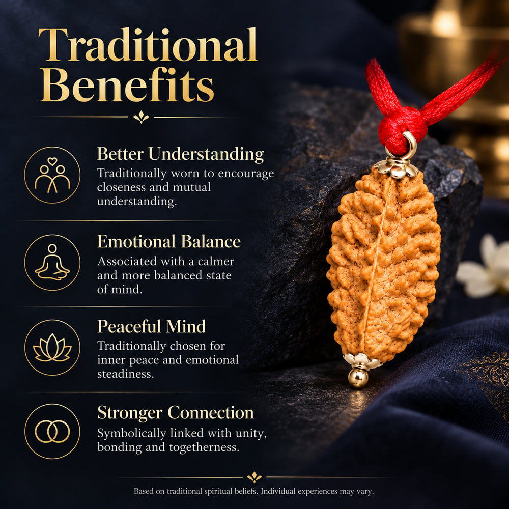 2 Mukhi Rudraksha Pendant