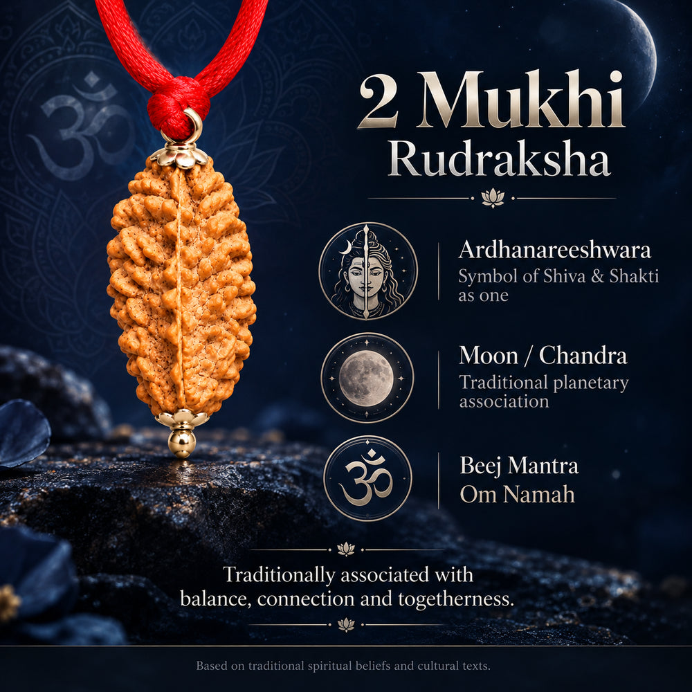 2 Mukhi Rudraksha Pendant