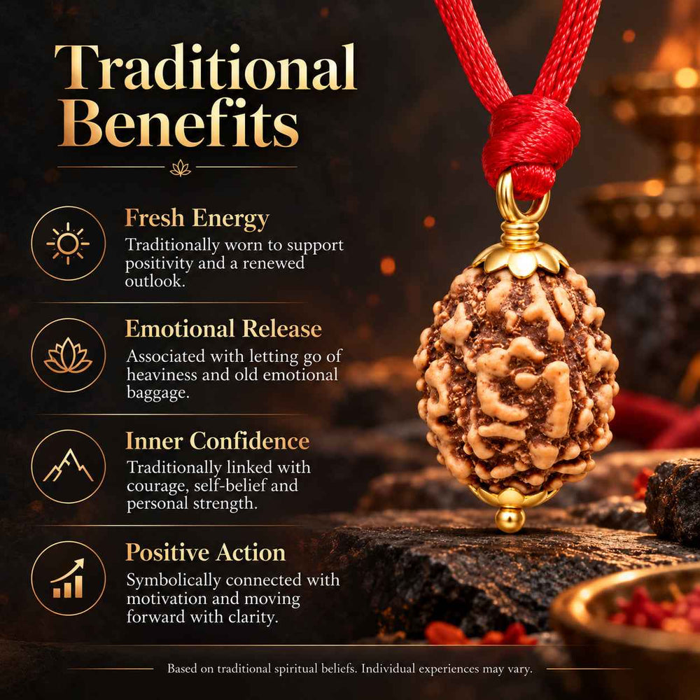3 Mukhi Rudraksha Pendant