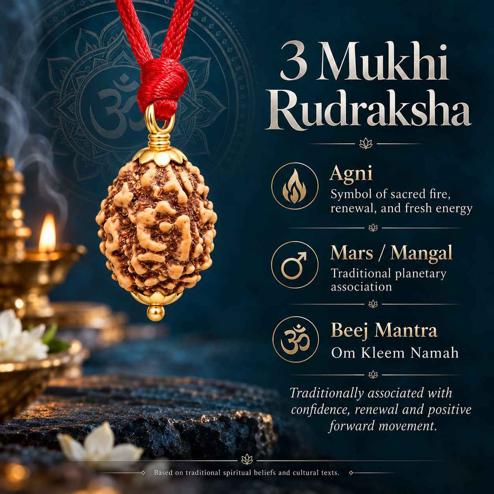 3 Mukhi Rudraksha Pendant