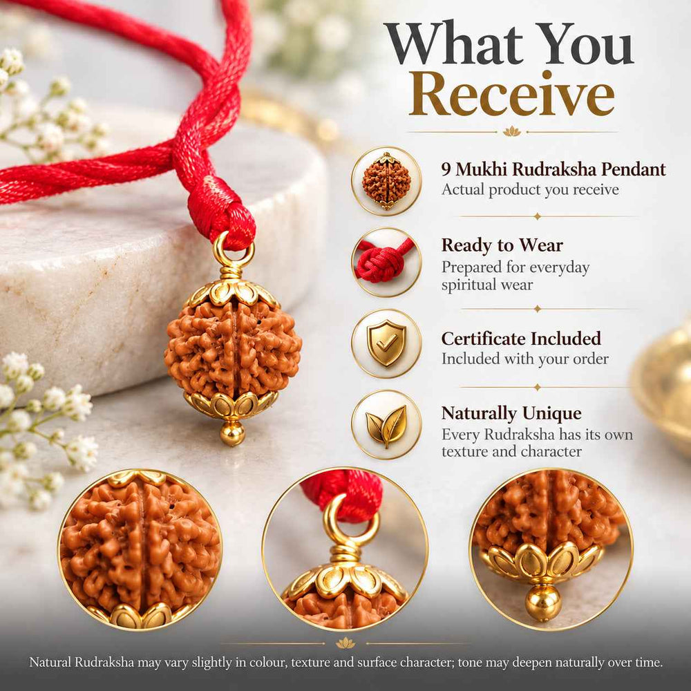 9 Mukhi Rudraksha Pendant