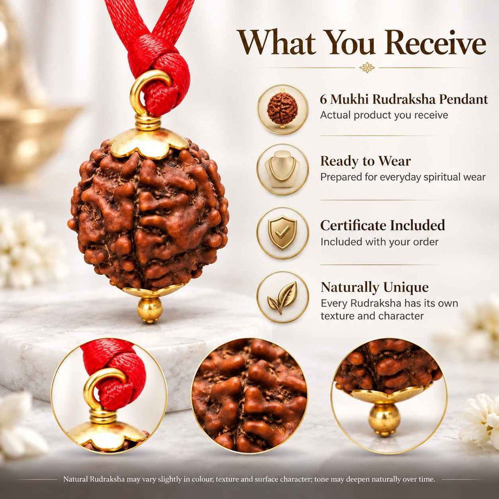 6 Mukhi Rudraksha Pendant