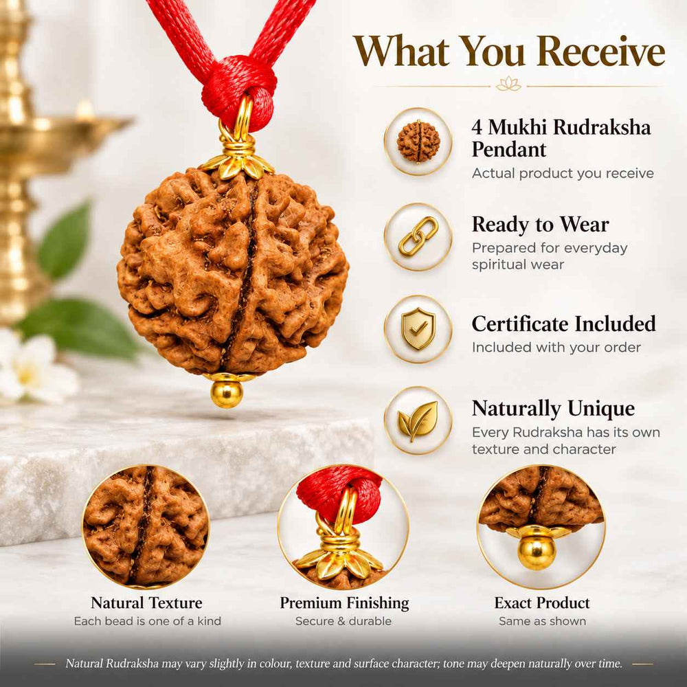 4 Mukhi Rudraksha Pendant