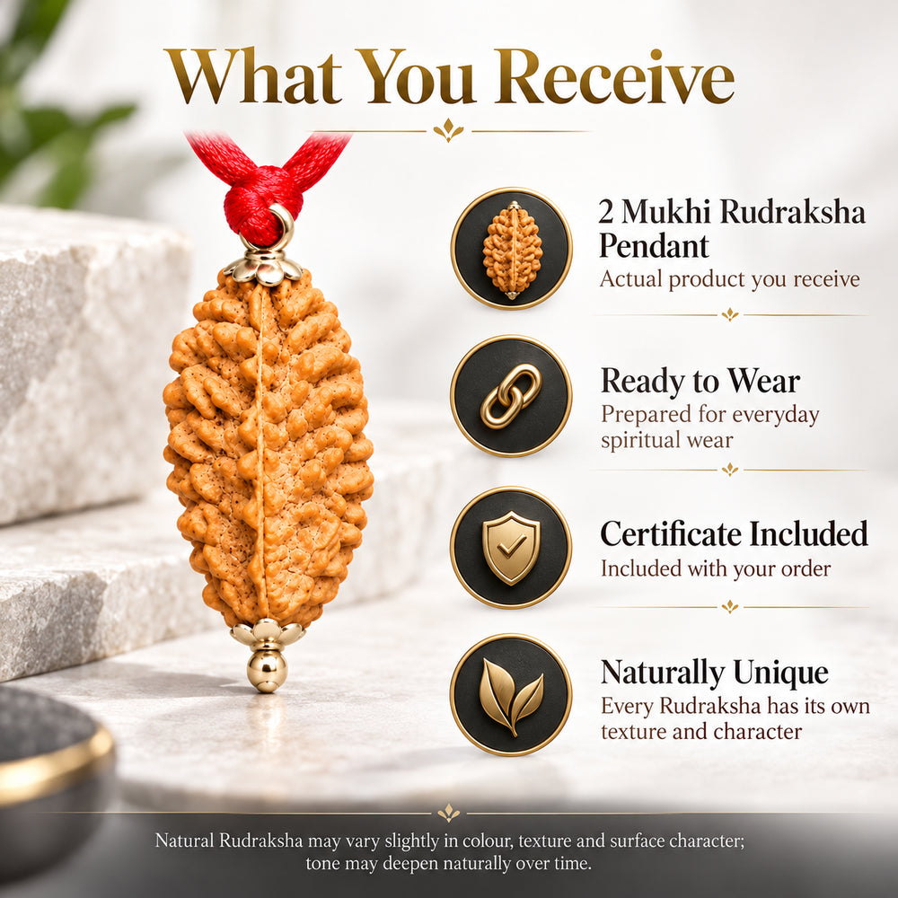 2 Mukhi Rudraksha Pendant