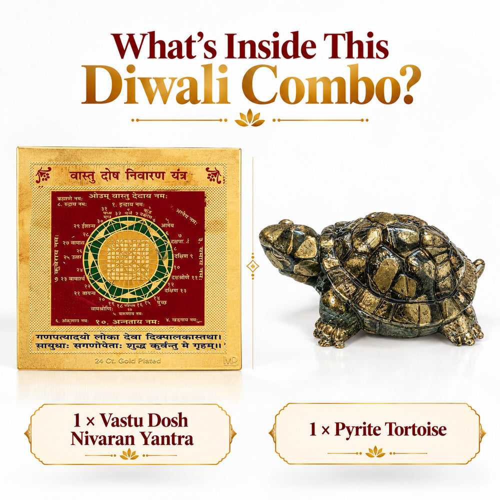 Diwali Vastu Shanti Combo