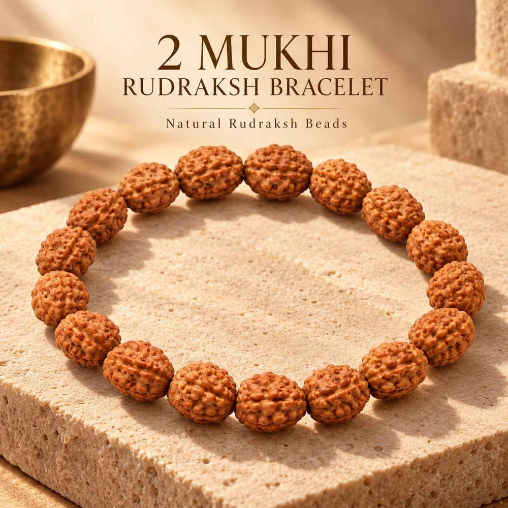 2 Mukhi Rudraksha Bracelet