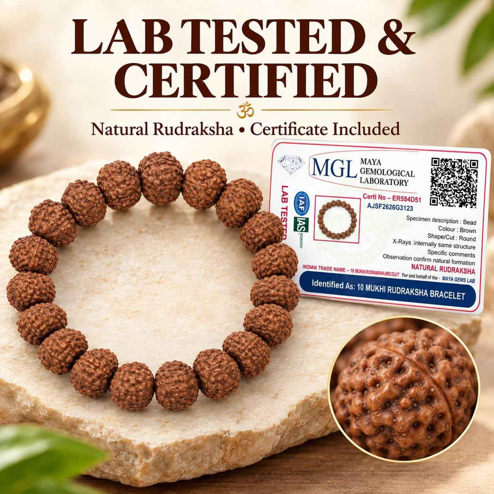 10 Mukhi Rudraksha Bracelet