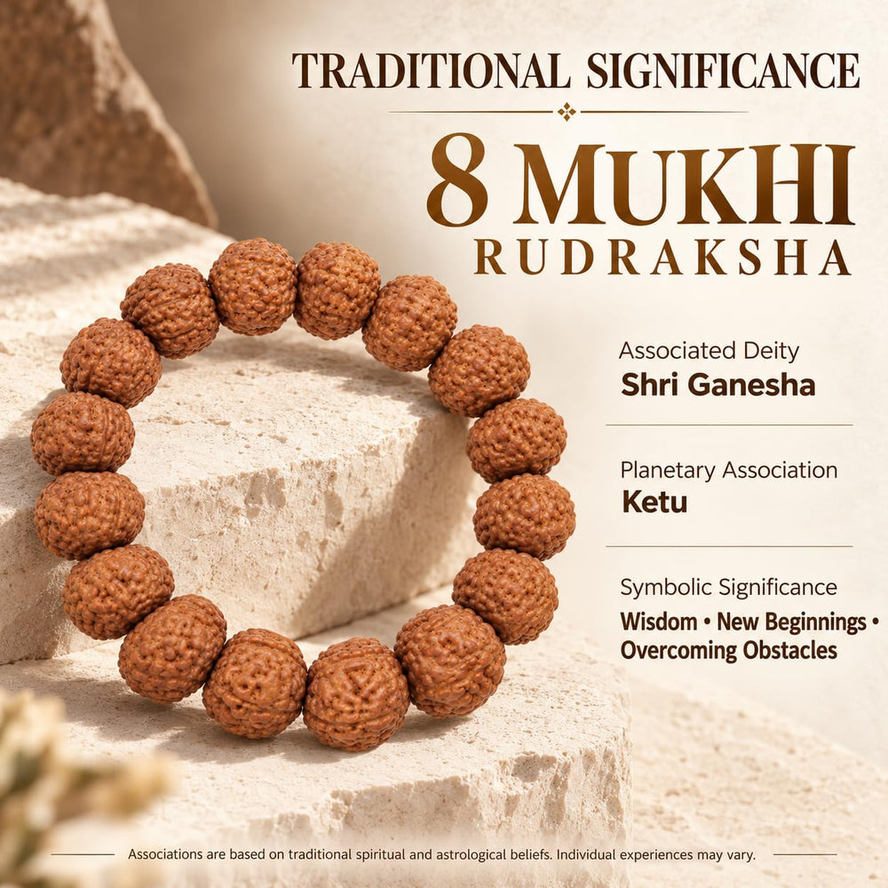 8 Mukhi Rudraksha Bracelet
