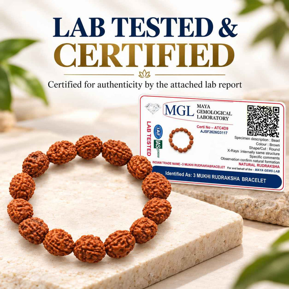 3 Mukhi Rudraksha Bracelet
