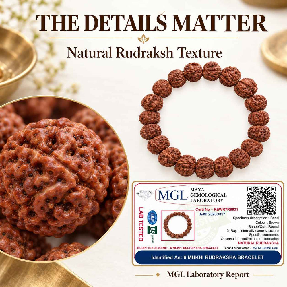 6 Mukhi Rudraksha Bracelet