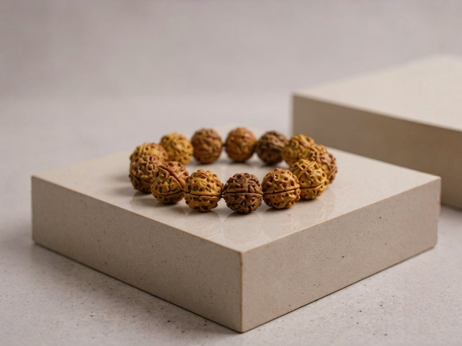 Rudraksha