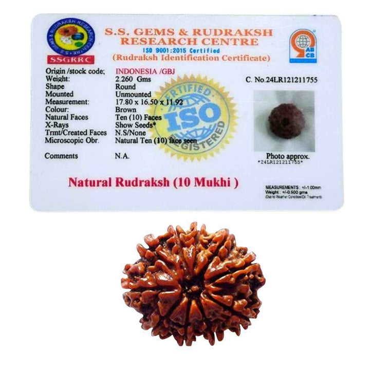 10 Mukhi Rudraksha