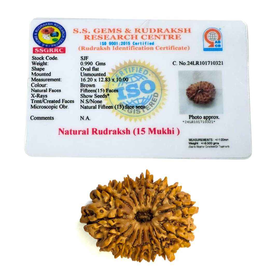 15 Mukhi Rudrakash