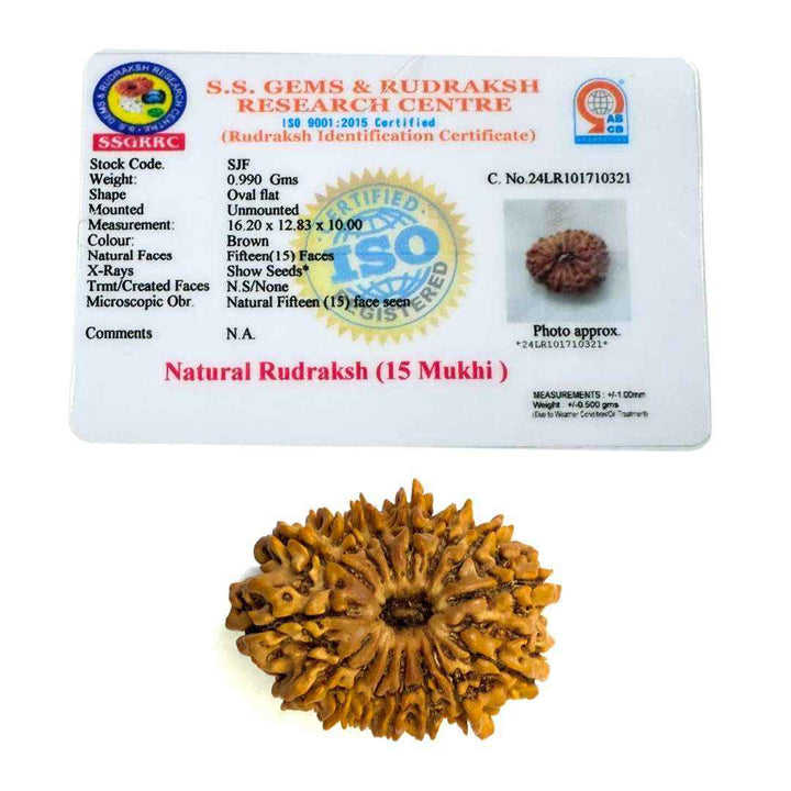15 Mukhi Rudrakash