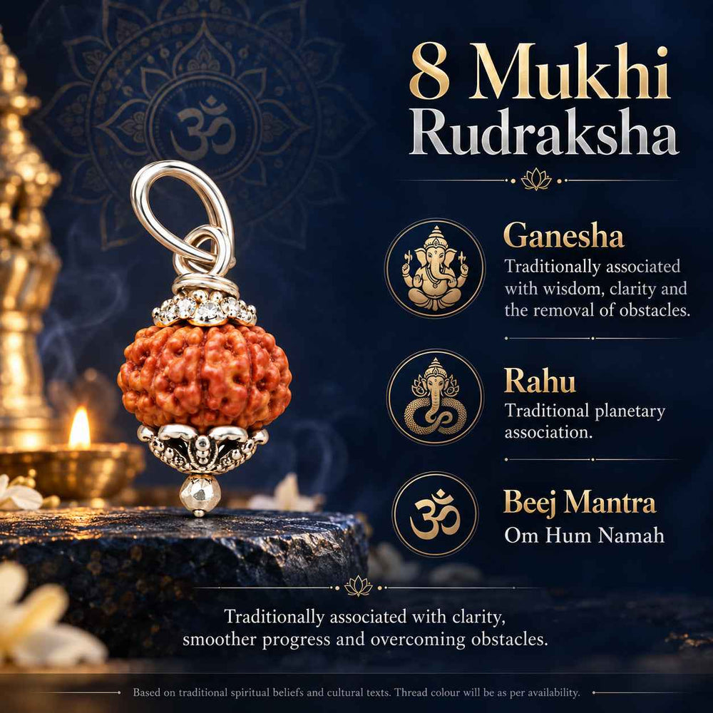 8 Mukhi Rudraksha Pendant