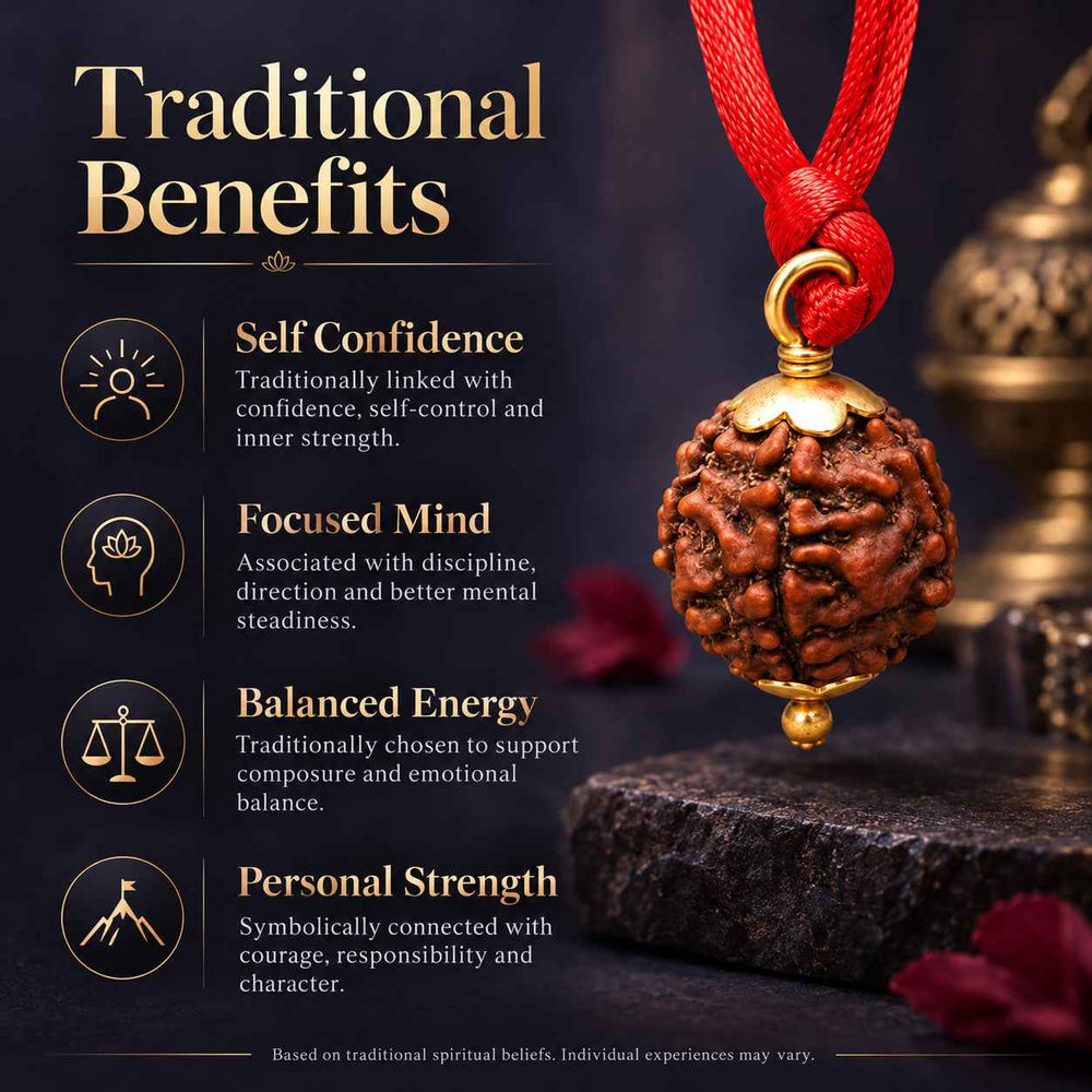 6 Mukhi Rudraksha Pendant