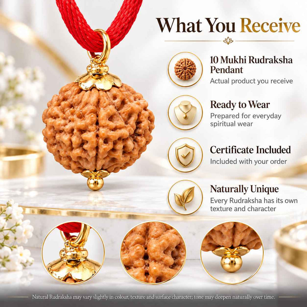 10 Mukhi Rudraksha Pendant