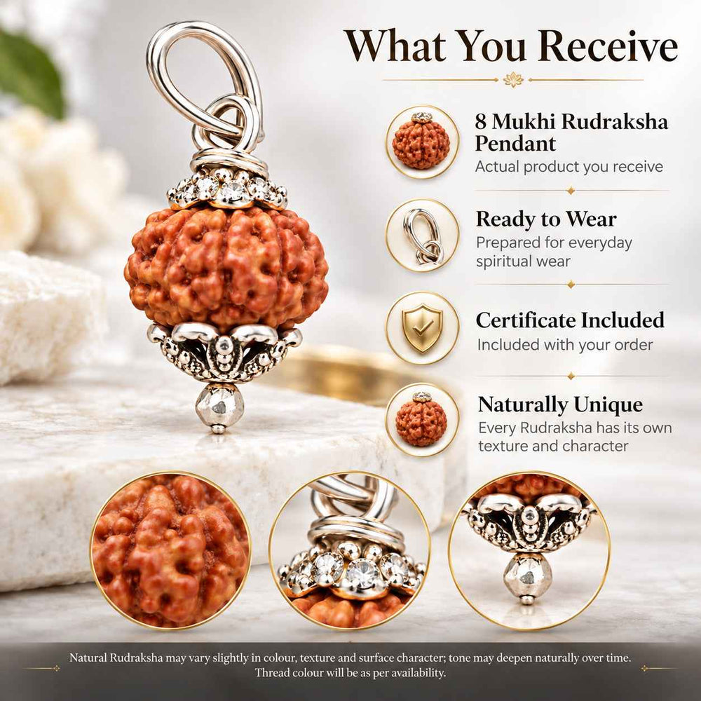 8 Mukhi Rudraksha Pendant
