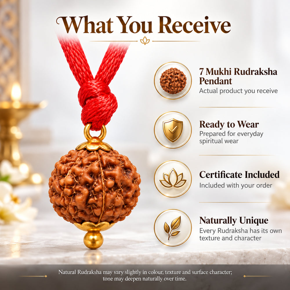 7 Mukhi Rudraksha Pendant