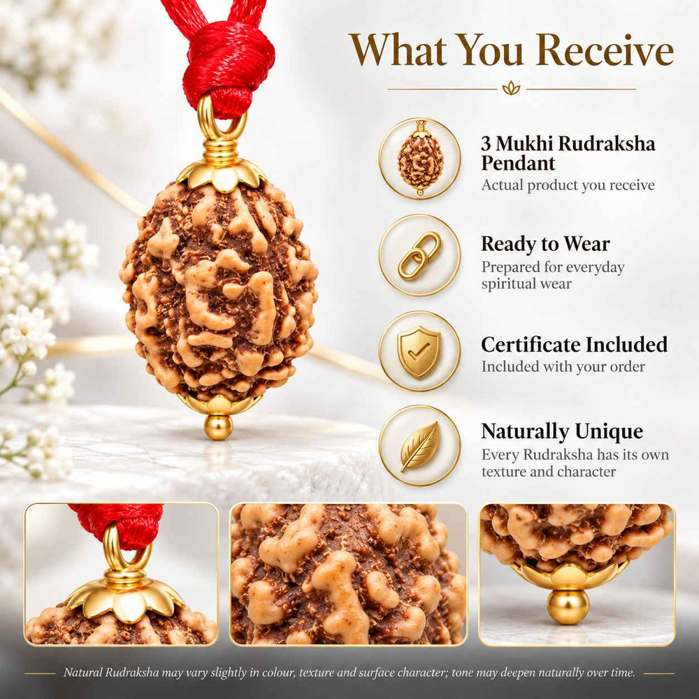 3 Mukhi Rudraksha Pendant