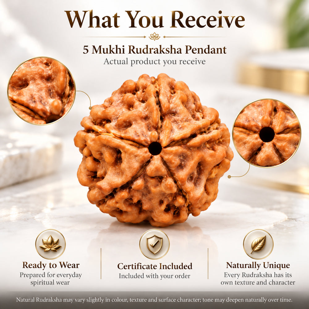 5 Mukhi Rudraksha Pendant