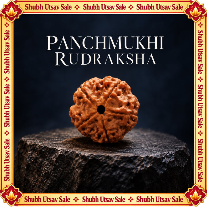 Panchmukhi Rudraksh
