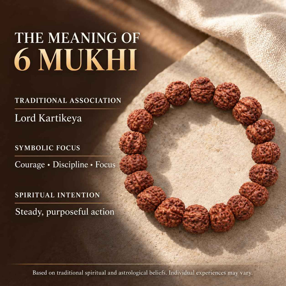 6 Mukhi Rudraksha Bracelet
