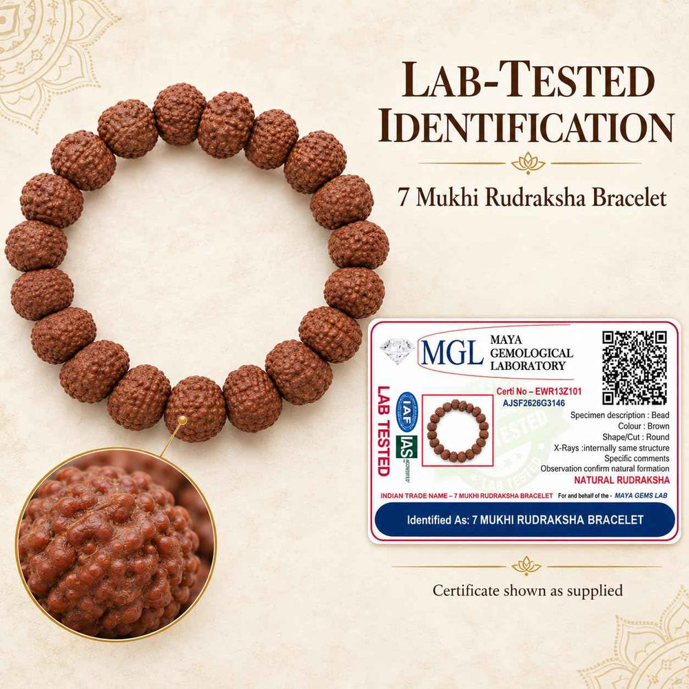 7 Mukhi Rudraksha Bracelet