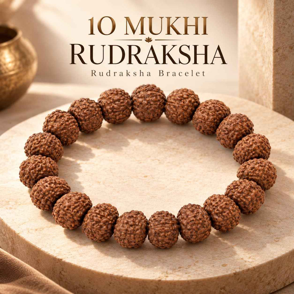 10 Mukhi Rudraksha Bracelet