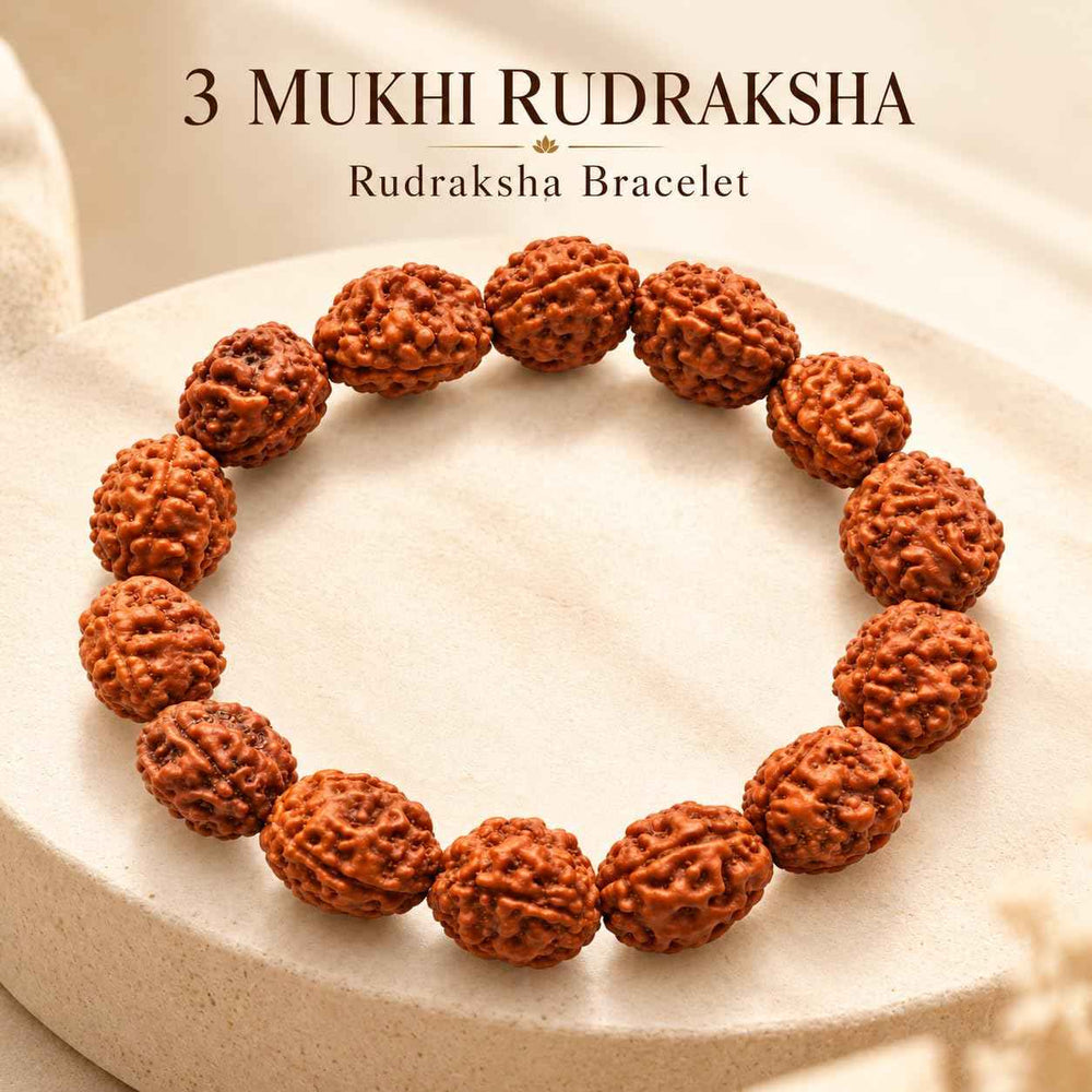 3 Mukhi Rudraksha Bracelet