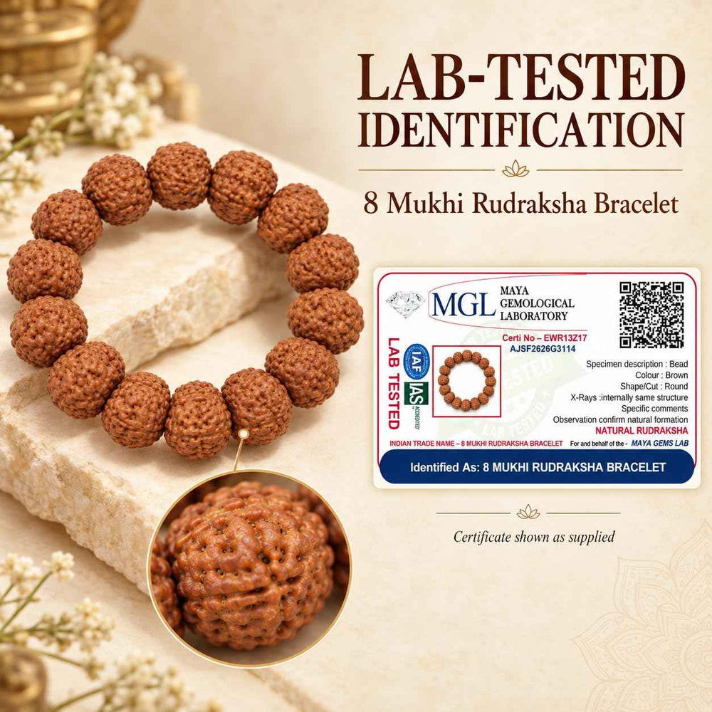 8 Mukhi Rudraksha Bracelet