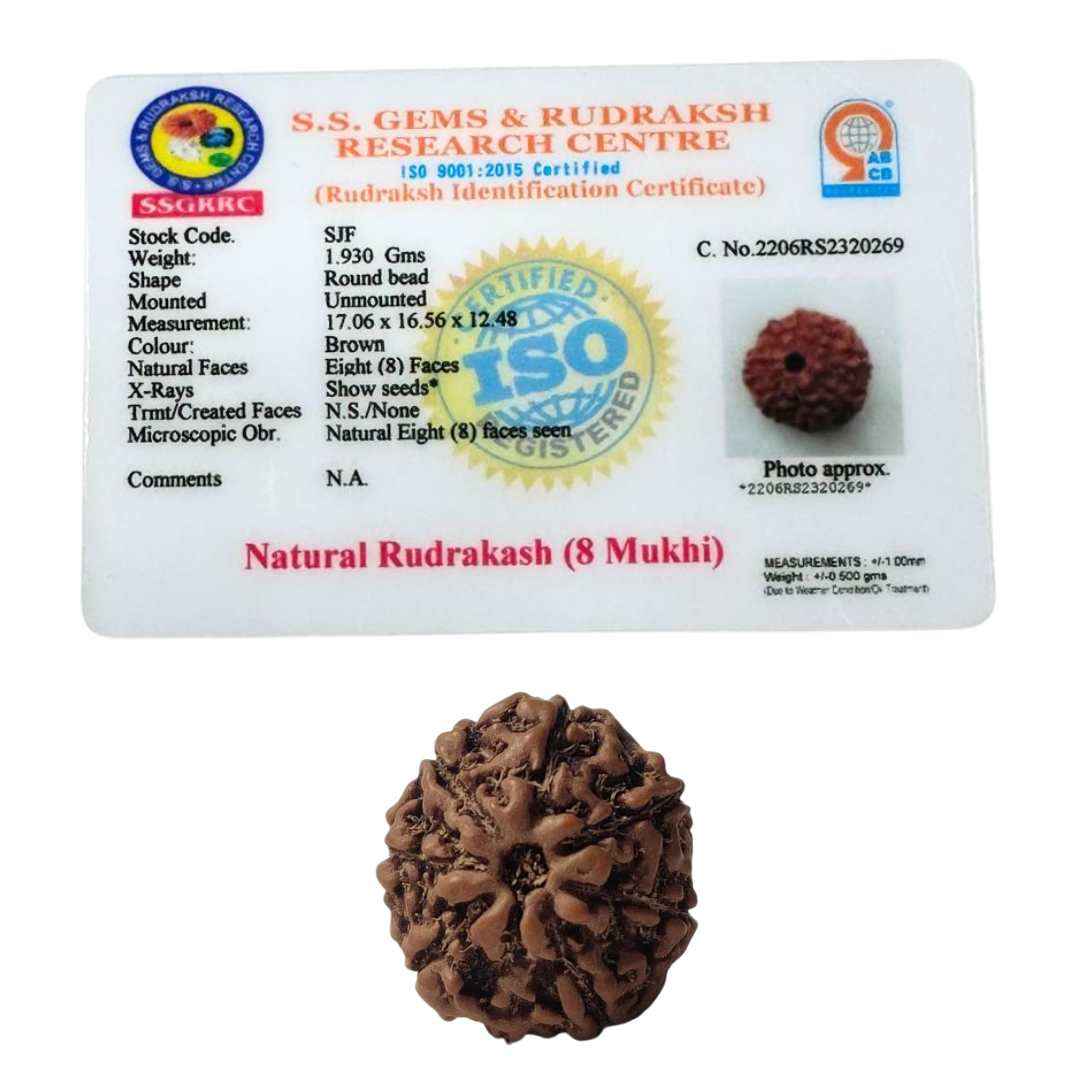 8 Mukhi Rudrakash