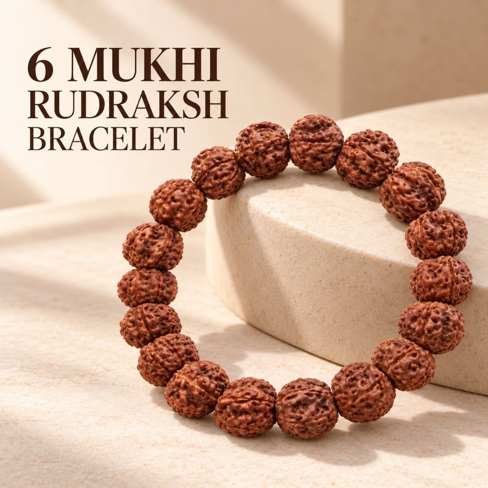 6 Mukhi Rudraksha Bracelet