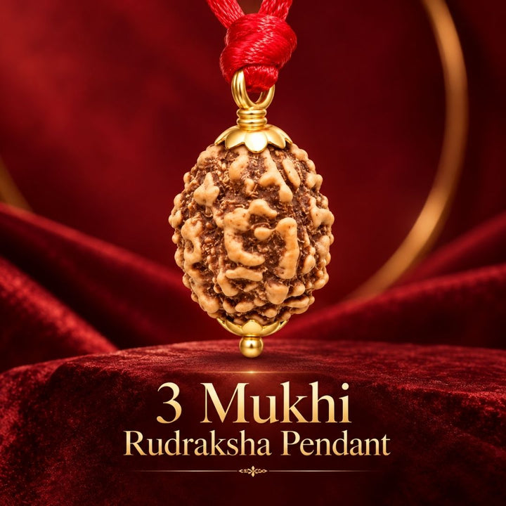3 Mukhi Rudraksha Pendant