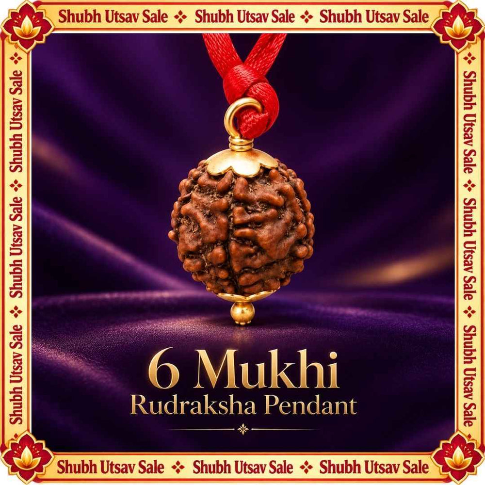 6 Mukhi Rudraksha Pendant